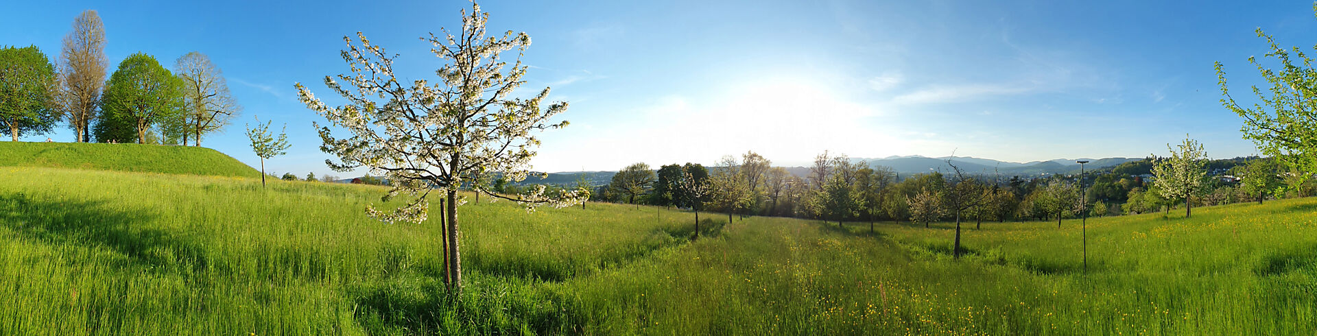 wirtschaftsfoerderung_zofingen_headerbild-2.jpg