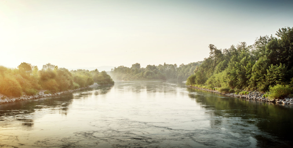 2021-08-09-Aareland_Stimmungsbild-Aare_qedn0sgvuudi.jpg